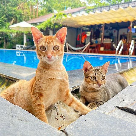 Have Fun Phu Quoc Villa Kültér fotó