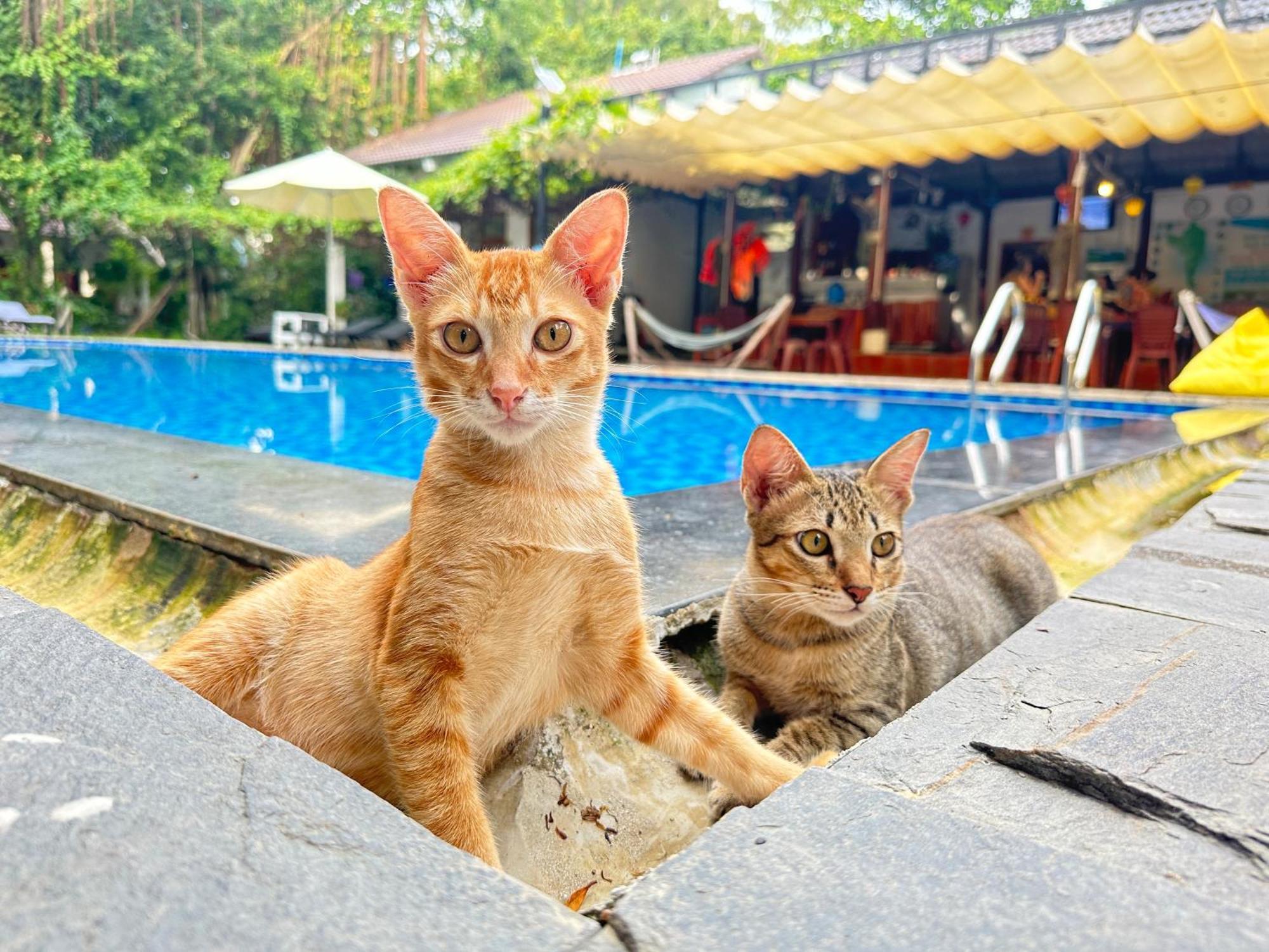 Have Fun Phu Quoc Villa Kültér fotó